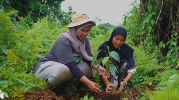rénagement environnemental qui a un impact sur les écosystèmes aux citoyens