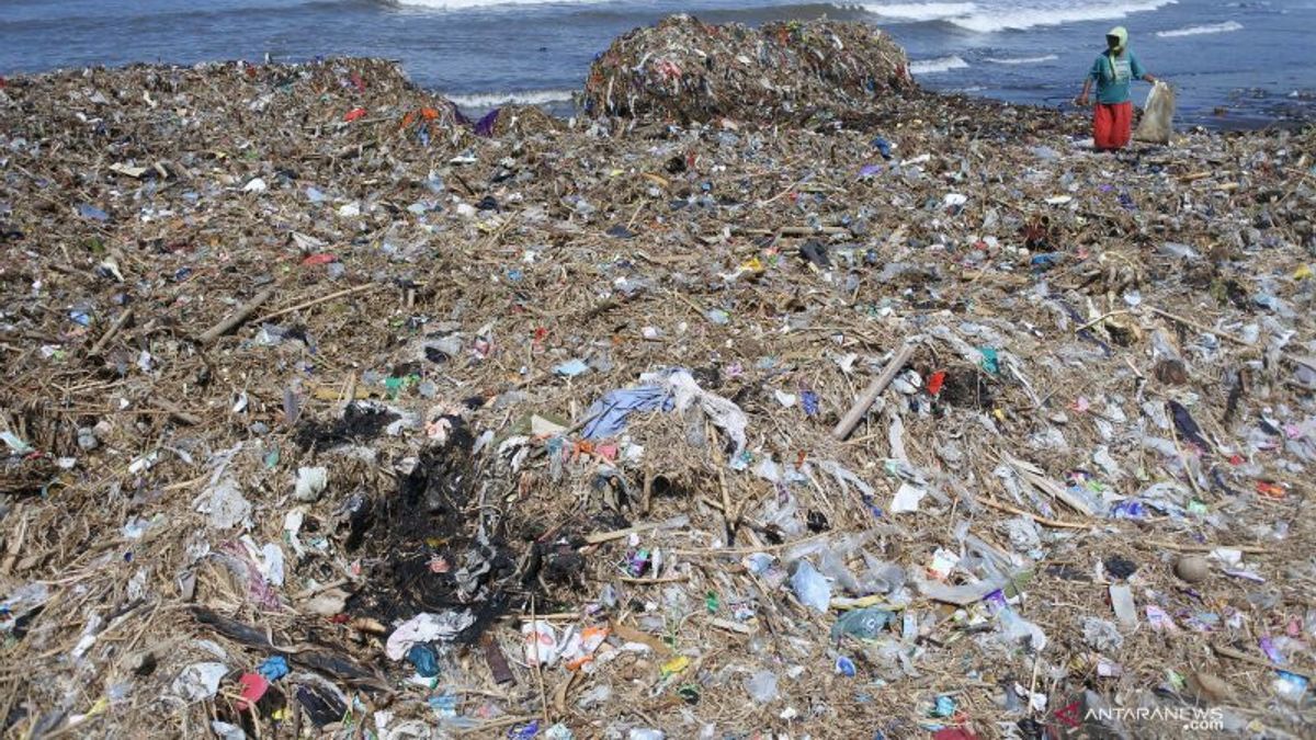 Bakteri Pemakan Plastik Ditemukan: Bisa Jadi Solusi Masalah Sampah, tapi Bukan Tanpa Risiko Jika Diterapkan Sembarangan