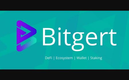 Cek Wallet Sekarang! Kripto Bitgert (BRISE) Meroket 115 Persen dalam Satu Pekan Terakhir