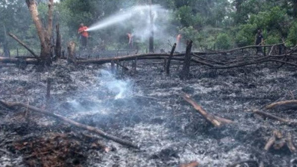 中央カリマンタン州政府は、2023年11月まで森林火災と陸上火災災害の緊急警戒状況を確立します