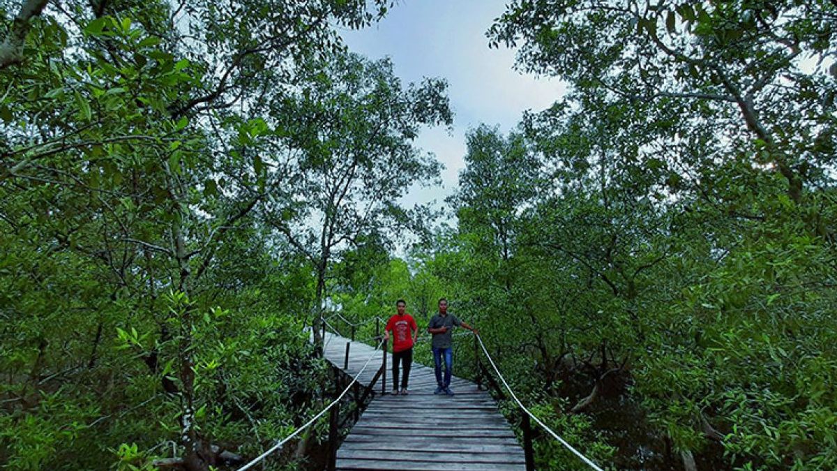 Lanud RSA Natuna Sumbang Lima Hektare Lahan untuk Rehabilitasi Mangrove Kepulauan Riau