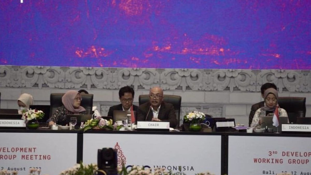 Indonesia Finalizes The Results Of The G20 DWG Meeting, Emphasizes Multilateralism