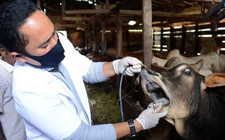 Meski dalam Suasana Pandemi COVID-19, Masyarakat di Aceh Tetap Semangat Berkurban