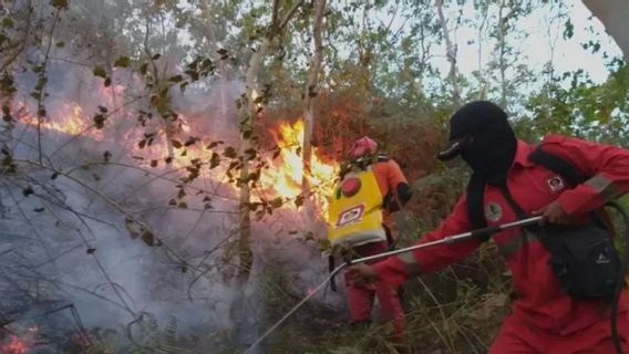 Masuk Musim Kemarau, Pemda Sumbar Mulai Antisipasi Kebakaran Hutan