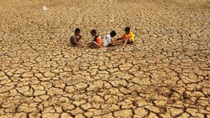 Pemkab Bogor Bangun 17 Sumur Bor Atasi Dampak El Nino