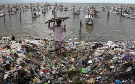 Menteri LHK Sebut Polusi Sampah Plastik Masih Jadi Masalah Global