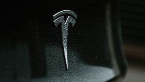 Tesla Ganti Sensor Ultrasonik di Kendaraannya dengan Tesla Vision
