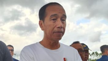 Jokowi sebut Posisi Airlangga di Kabinet Tidak Ada Masalah