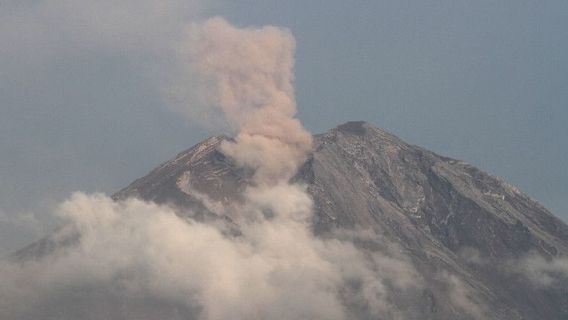 فريق SAR يمشط ثلاث قرى صغيرة في Lumajang مدفونة في الرماد البركاني بعد ثوران Semeru