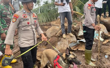 Polri Kerahkan Tim Anjing Pelacak Cari Korban Longsor Ternate