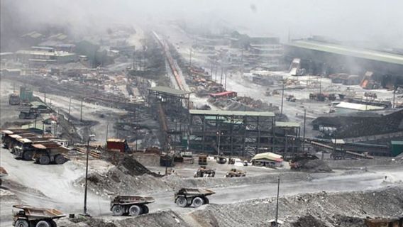 Freeport Setor Keuntungan Rp75 Triliun ke Negara