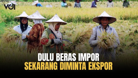 Cadangan Beras Nasional Tertinggi, Negara Sahabat Minta Indonesia Ekspor Beras