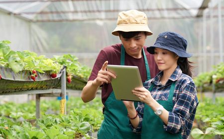 Apa Itu Digital Farming: Berikut Penjelasan, dan Manfaatnya