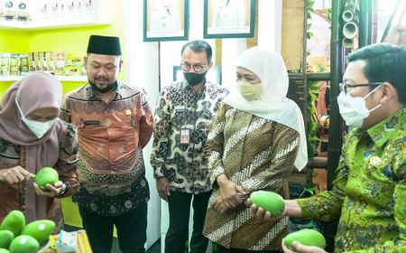 Khofifah: Jatim Bisa Diandalkan Jadi Lumbung Pangan Nasional