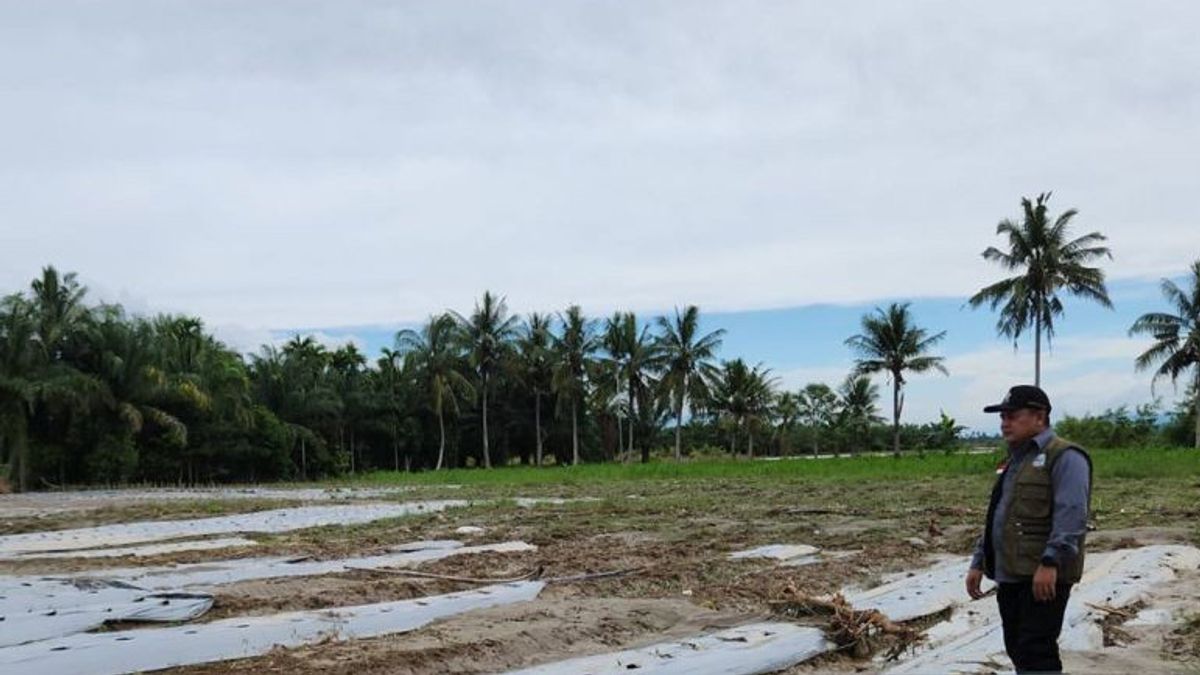 Southeast Aceh Flood Damaged 467.25 Hectares Of Agricultural Land