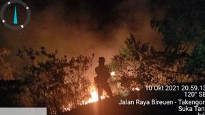 7 Hektare Kawasan Hutan dan Lahan Krueng Simpoe Aceh Terbakar