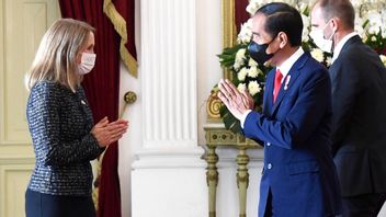 Unggah Foto Bertemu Jokowi Sebut Itu Kehormatan Besar, Netizen ke Dubes Norwegia: Jangan Lupa ke Candi Borobudur