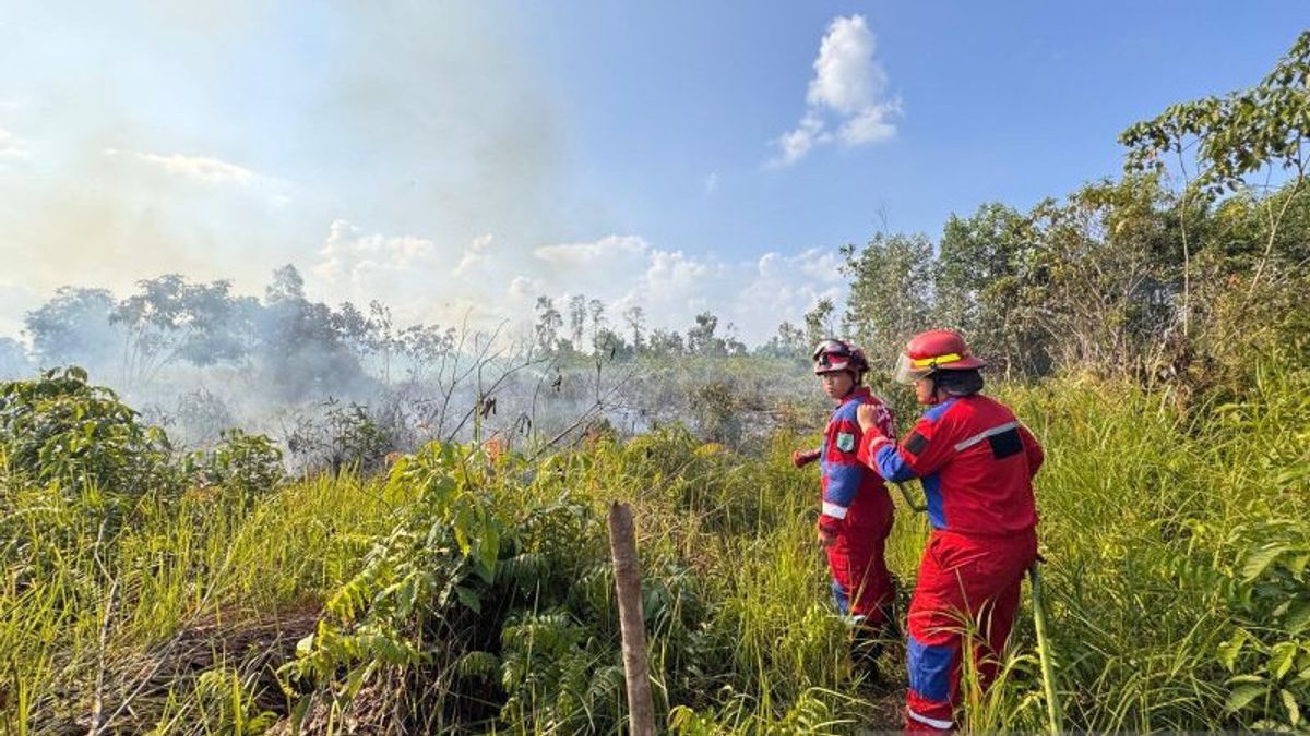 Forest Fire in East Kalimantan-South Kalimantan Extinguished, BNPB Warns Threat Still Looming
