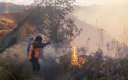 Balai Besar TNBTS Hitung Luas Area Terdampak Karhutla di Kawasan Bromo