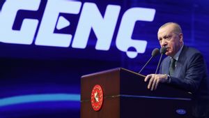 Erdogan: Turki Siap Memediasi Teheran-Washington Hindari Perang