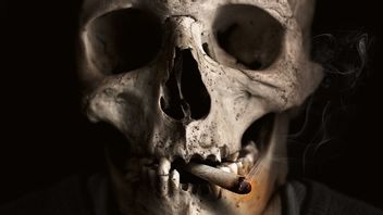 Danger, Smokers Are Vulnerable To Contracting The Third Killer Disease In The World: COPD