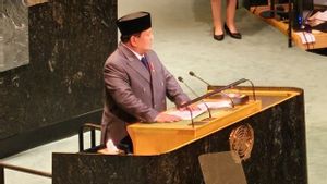 Presiden Prabowo: Indonesia Siap Kerahkan Pasukan Perdamaian di Gaza