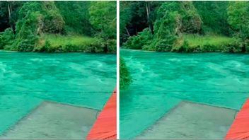 洪水後のオムリン川が澄んだ現象が注目され、スイスで突然似ている