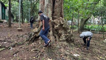 Efek Psikologis Permainan Koin Jagat, Bisa Picu Stres pada Pemain