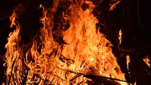 Kebakaran di Belakang Senayan City, 5 Rumah Mewah dan 20 Bedeng Ludes