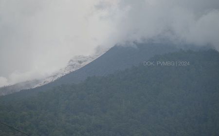 Gunung Lewotobi Laki-laki Erupsi Luncurkan Awan Panas Guguran 1,5 Km