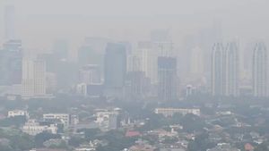 Kualitas Udara Terburuk Nomor 2 di Dunia, Anggota DPR Kritik Pemerintah Tak Serius Tangani Polusi