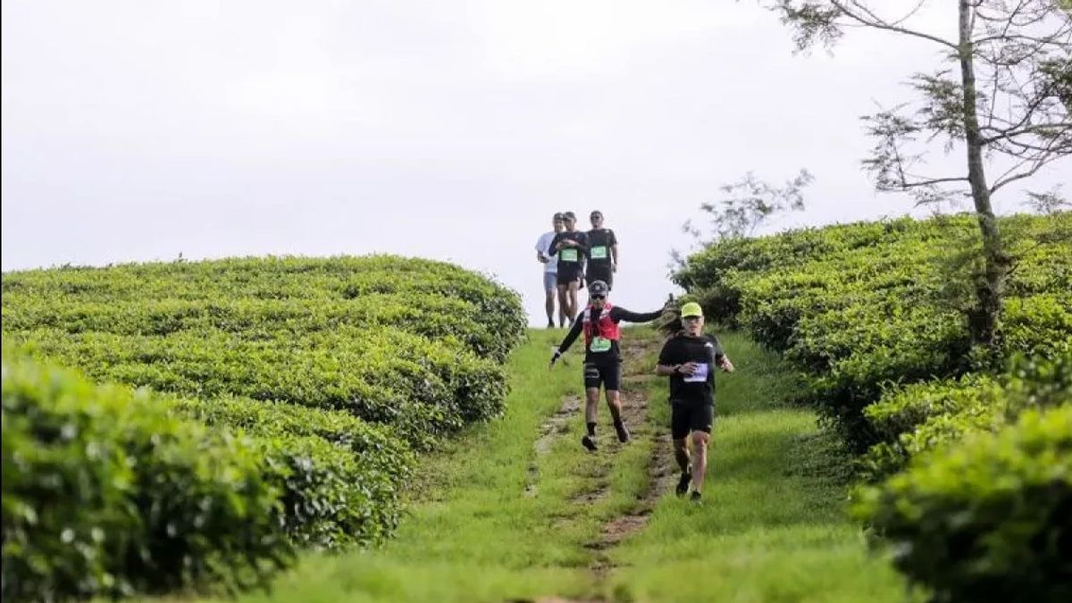 KDM Minta Pedagang di Ciwidey-Pangalengan Berhenti Jualan Kopi Saset