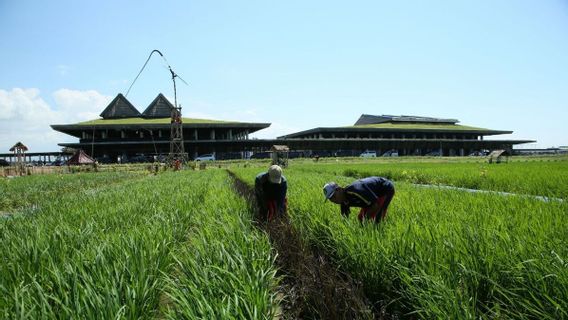 Bandara Banyuwangi Masuk Daftar 20 Arsitektur Terbaik Dunia Bersanding dengan Kuwait hingga Tunisia