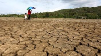 Entering The Dry Season, East Flores Budgets IDR 2 Billion To Anticipate Drought Disasters