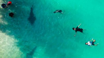 Media Sosial Jadi Andalan Utama Masyarakat dalam Mencari Referensi Liburan