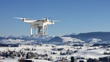 Peneliti Sebut Desain Drone di Masa Depan Bisa Mengadopsi Capung