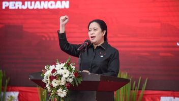 Puan Maharani Will Continue Political Safari To Meet PAN After The 50th Anniversary Of PDIP