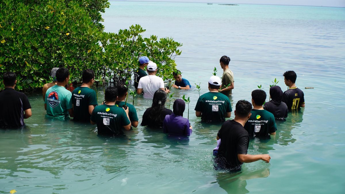 Pegadaian Plants 1,000 Mangroves To Take Off Tukik At World Habitat Day 2025