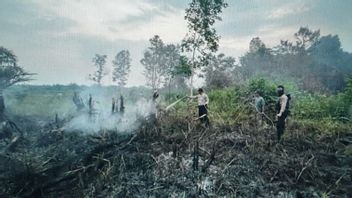 South Sumatra Musi Banyuasin Police Task Force Arrests Land Burner