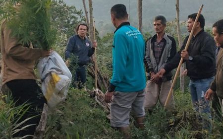 Tim TNI-Polri Temukan Ladang Ganja di Rejang Lebong