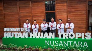 Anak Usaha MMSGI Dukung Otorita IKN dalam Pembangunan Miniatur Hutan Hujan Tropis Nusantara