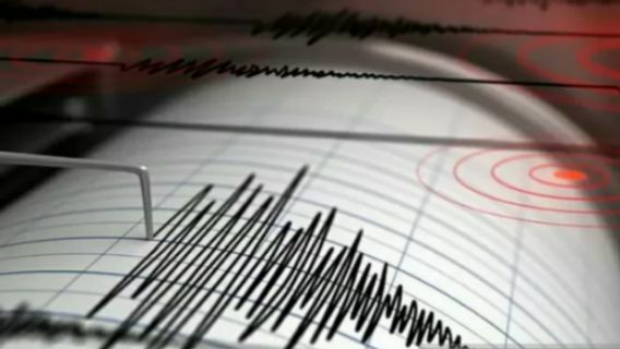 BMKG中央スラウェシのM5.9地震:局所断層変形による