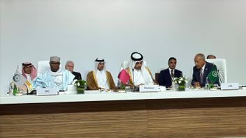 カタールはイスラエルに対する二重基準の終了を求める