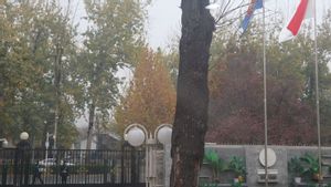 KBRI Beijing Tutup Sementara karena Staf Terkena COVID-19