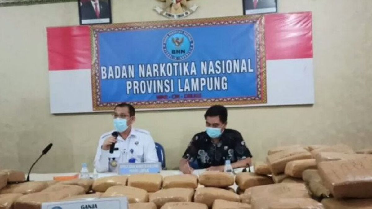 BNNP Gagalkan Pengiriman 248,057 Kilogram Ganja yang Dikendalikan Napi Lapas Rajabasa