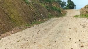 Kementerian PUPR Masih 'Utang' Selesaikan 183 Km Jalan Trans Papua Hingga 2024