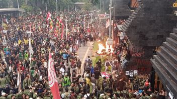 Boni Hargens: Avoid Efforts To Break People Up With Officials