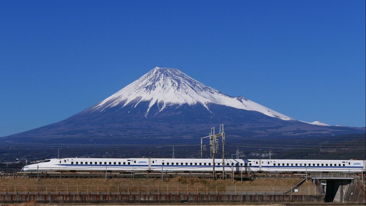 Snake Causes Power Outage, Tokyo-Osaka Shinkansen Service Had Disruption