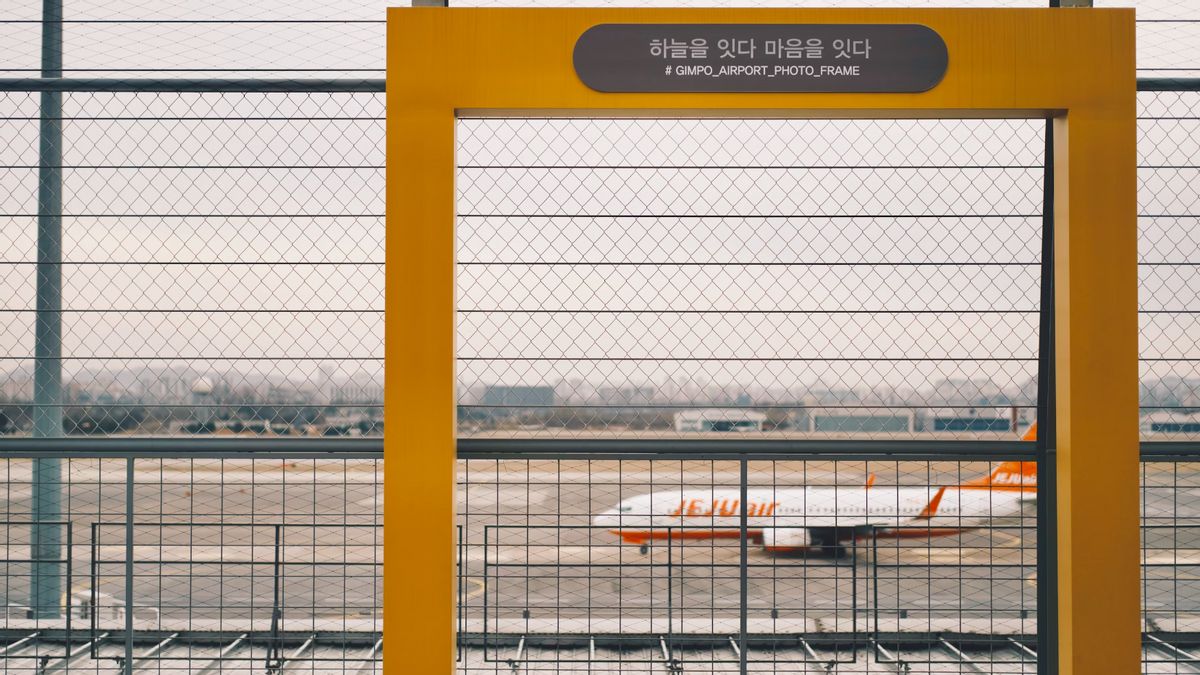 Almost All Victims Died In Jeju Air Accident Identified