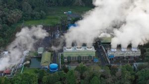 Siap Bantu Pemerintah Jalankan NEK, PLN Siapkan Dua Skema Perdagangan Karbon